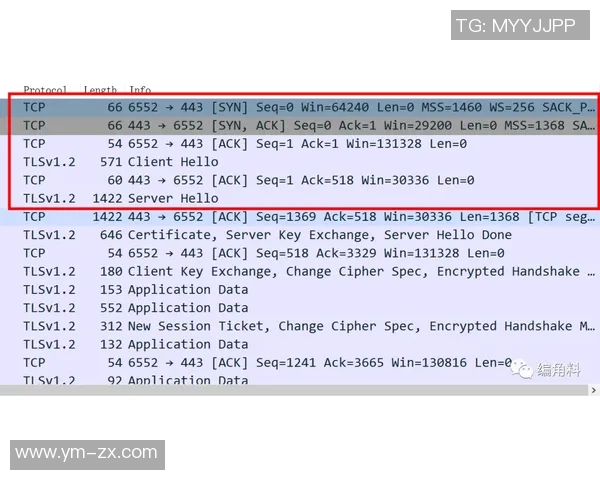 IG中路表现分析：突破与失误的深度剖析与反思